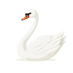 Minimal flat vector of a Swan, 2D icon-style illustration on white background