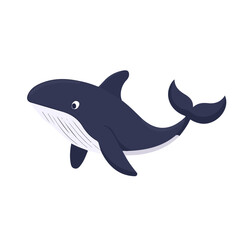 2D flat vector illustration of a Whale in icon style, isolated on white background