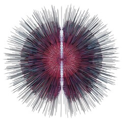 Obraz premium Abstract radial burst of dark lines on a red and blue background