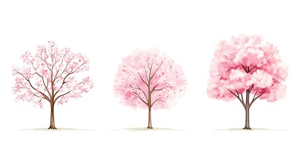 Fototapeta premium 桜の巡り巡る時