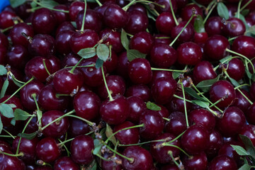 Macro close-up of fresh red cherries with green stems and leaves. Ripe, juicy summer fruit perfect for food, healthy eating, or seasonal market concepts.