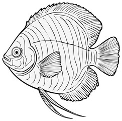 Fototapeta premium Angelfish outline illustration. Detailed sea animal drawing in grayscale.