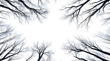 冬の交響曲