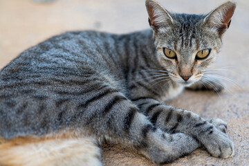 Impressionen aus Fuerteventura im Sommer
