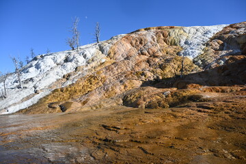 Mammoth Hot Springs