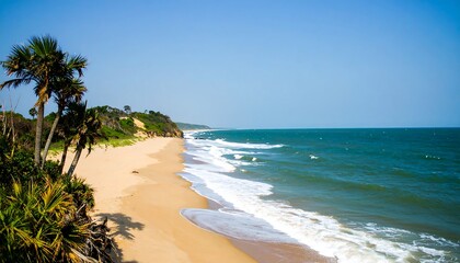 Tropical beach with palm trees. Wide expanse of sand and ocean waves