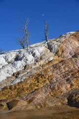 Mammoth Hot Springs