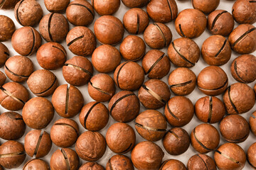 Macadamia nuts in a shell isolated on a white background.