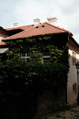 Old house with a red-tiled roof and ivy-covered walls in Petrovaradin Fortress. Serene and picturesque alley in Novi Sad, Serbia.