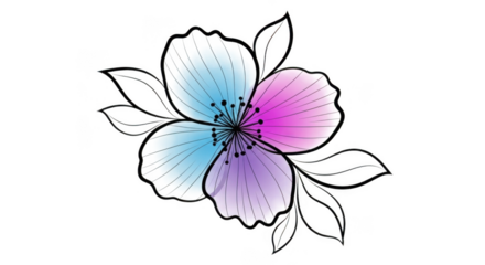 Watercolor flower isolated on transparent background with blue and pink petals