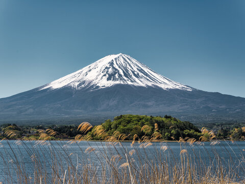 Mount Fuji view from Lake Kawaguchi with island and reeds in spring