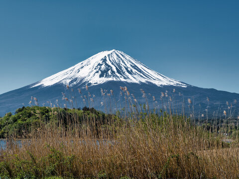 Mount Fuji and tranquil lake landscape with island and dry reeds