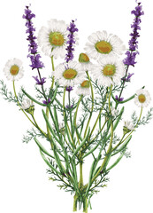 Watercolor Bouquet of Wildflowers