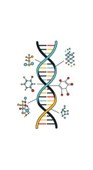 Understanding the fundamental building blocks of life dna structure and molecular composition revealed through scientific illustration