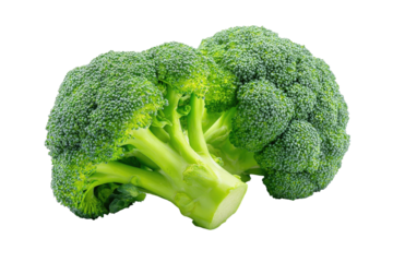 Two heads of fresh broccoli, vibrant green, close-up