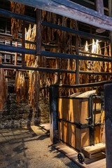 Tobacco leaves drying inside traditional dryers on São Miguel Island, Azores. These dryers use controlled airflow to cure leaves for quality tobacco production.