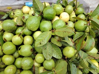 Freshly Harvested Guavas Abundant Display of Tropical Fruit with Green Leaves Ready for Market Consumption and Nutritional Benefits
