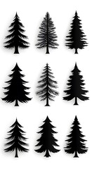 Naklejka premium 黒の針葉樹の詩