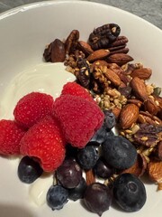 Home made Granola and Yogurt Bowl with Fresh Fruit