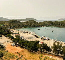 Harbor view with yachts and boats near coastal greenery at midday