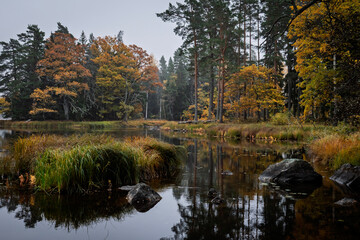 Swedish river and natural salmon landscape in autumn. Farnebofjarden national park in north of Sweden