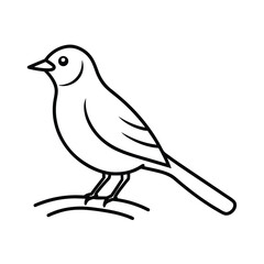 Obraz premium Line art illustration of a bird on a branch