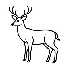 Fototapeta premium Line art of a standing deer with antlers.