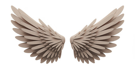 Fototapeta premium Isolated beige wings displayed on white background with layered feather detail