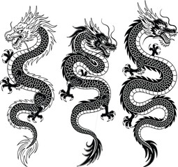 Intricate dragon illustrations, traditional Asian art, black and white design, mythical creature, tattoo style, poster graphic, decorative, detailed, vector, isolated
