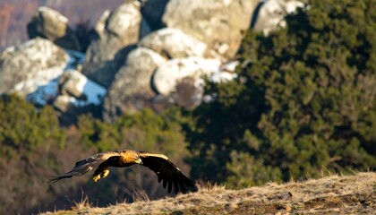 Golden eagle soaring over a rocky mountain landscape