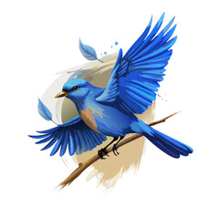 Bluebird Watercolor Art Print – Vibrant Blue Songbird Illustration – Hand-Drawn Bird Painting – Nature Wall Decor – Wildlife Art for Bird Lovers

