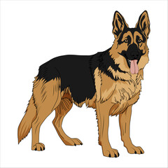 German Shepherd Dog Vector Art