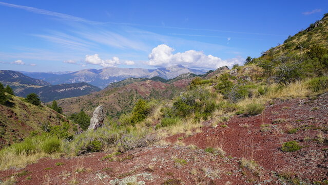 Paysage en rouge &agrave; Barrot E
