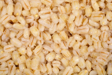 A dense full-frame shot of cooked, light brown pearl barley showcases its uniform texture and earthy tones
