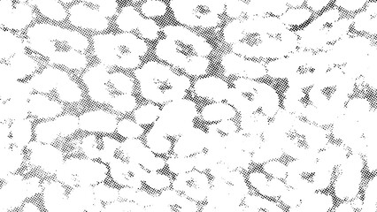 Abstract floral halftone pattern, modern dotted blossom design, black and white flower texture, geometric floral dot art, trendy halftone flower illustration, and minimalist floral dot background