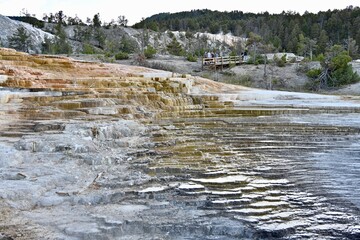 Mammoth Hot Springs.