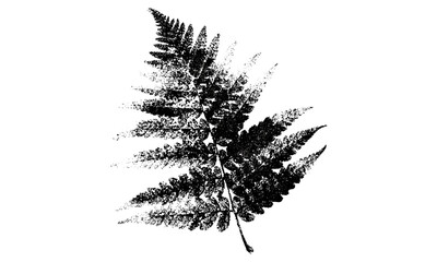 Brutalist vector fern with retro photocopy stipple effect for Y2K grunge collage posters and banners. Nostalgic 90s punk halftone texture with dotted pointillism, vintage brutalist flower © Vintage Studio