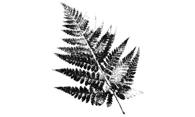Naklejka premium Vintage halftone stipple fern design in retro photocopy style for punk grunge collage art. Y2K brutalist vector illustration ideal for poster, banner, tattoo, music cover, textured grain