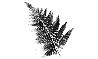 Retro fern illustration with brutalist halftone stipple effect, perfect for grunge punk Y2K collage banners or posters. Vintage photocopy style with nostalgic 90s punk vibes, vector design © Vintage Studio