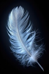 Close-up of a single, light-blue feather against a black background.  It's delicate and  appears almost luminous