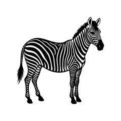 silhouette of a zebra standing with stripes visible vector art
