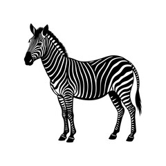 silhouette of a zebra standing with stripes visible vector art