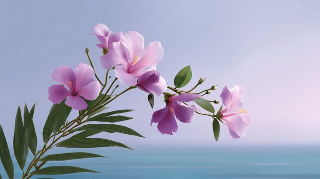 pink magnolia flowers