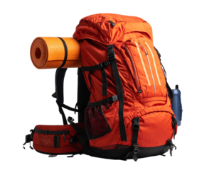 Cherry Blossom Tree Branch – Vibrant Pink Flowers PNG