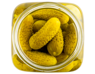 Cherry Blossom Tree Branch – Vibrant Pink Flowers PNG