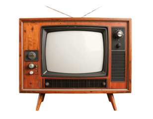 Cherry Blossom Tree Branch – Vibrant Pink Flowers PNG