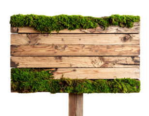  Rustic Wooden Sign with Carved Lettering and Moss Accents, Close-Up Detail, isolated transparent background PNG