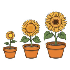 Obraz premium Progression of sunflowers in terracotta pots illustration of growth and development with stages from seedling to full bloom isolated on white background