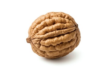 Single whole walnut in its shell isolated on a white background.