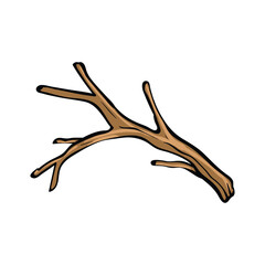 Obraz premium Handdrawn illustration of a brown gnarled tree branch.